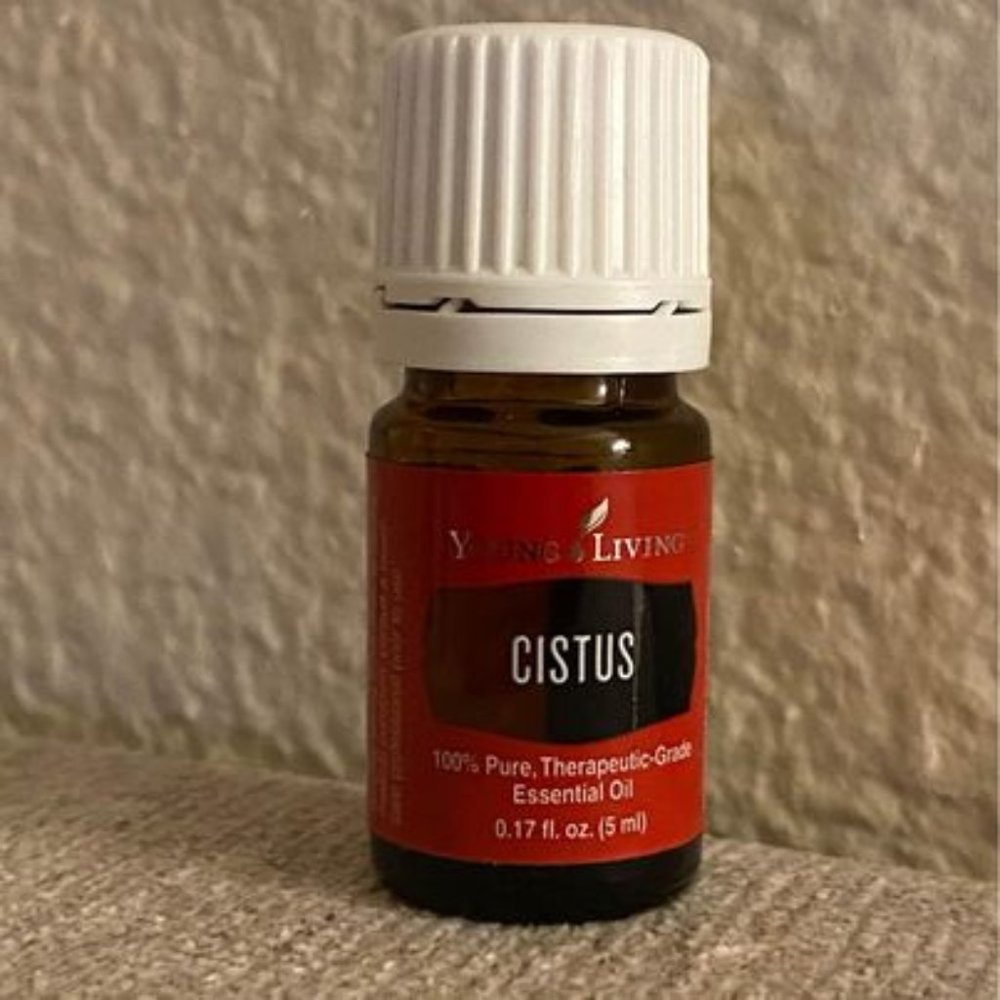 YL Cistus